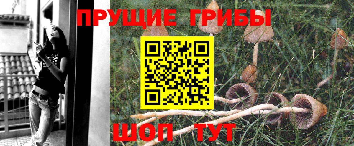 Псилоцибиновые грибы MAGIC MUSHROOMS Миасс