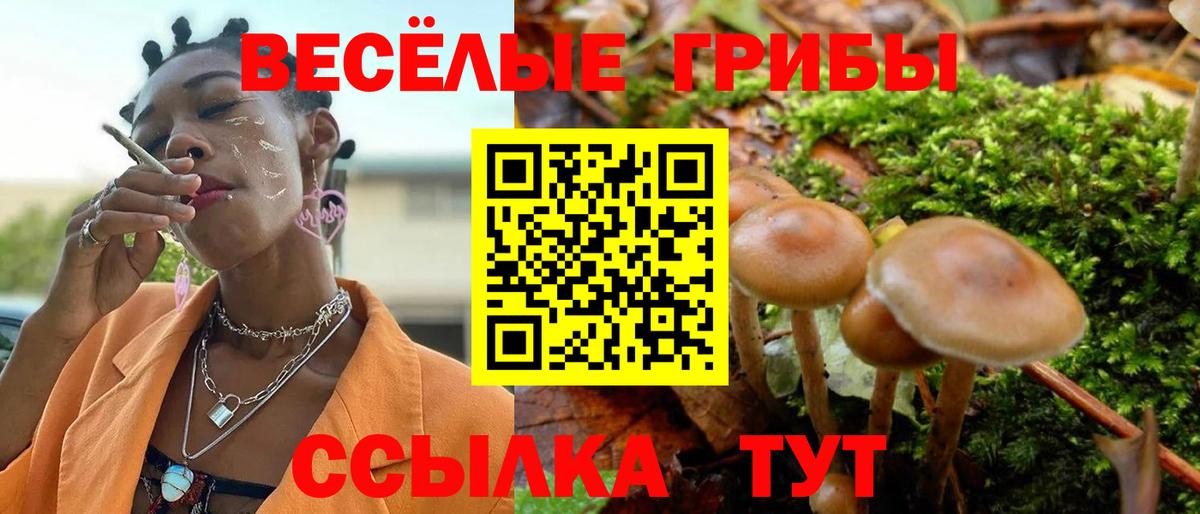 Галлюциногенные грибы Magic Shrooms  Вход с VPN  Миасс 